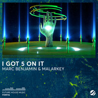 I Got 5 On It - Marc Benjamin & MALARKEY