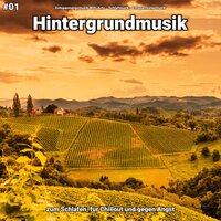 Hintergrundmusik pt. 88 - Entspannungsmusik Willi Antz & Schlafmusik & Entspannungsmusik