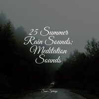Draining Rains - Nature & Sounds Backgrounds & Mindfulness Meditation Universe & Mother Nature FX