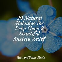 The Forest - Oasis de Détente et Relaxation & Zen Meditate & The Relaxation Principle