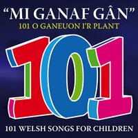 Pwsi Meri Mew - Buddug Lloyd Roberts & Elinor Bennett & Elinor Bennett & Buddug Lloyd Roberts