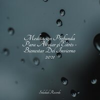 Maravillas Del Mundo - Academia de Música con Sonidos de la Naturaleza & Musica relajante con sonidos de la naturaleza & Meditação Yoga