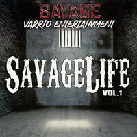 Time to Slide - Savage