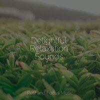 The Depth of Dreams - Mindfulness Mediation World & Echoes of Nature & Trouble Sleeping Music Universe