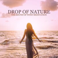 Harmony Relax - Therapy Spa Music Paradise
