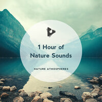 Calm Thunder Waves - Nature Sounds ASMR & Nature Atmospheres