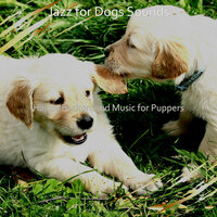 Cool Backdrops for Dog Walking - Jazz for Dogs Sounds