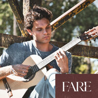Budapest - Fare