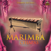 Solamente Una Vez - Marimba Chiapas