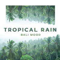 Walking in the Forest - Healing Rain Sounds