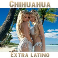 Chihuahua - Extra Latino