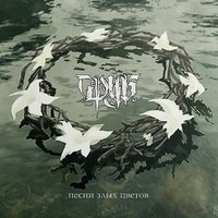 Песни злых цветов - Сруб