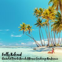 Overcast Private Beach Waves Crashing Ambience, Pt. 16 - Steve Brassel