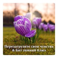 Душевное здоровье - Группа Большего Спокойствия