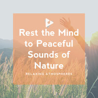 Peaceful Piano River Birds - Relaxing ASMR & Relaxing Spa Music