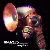 Sesto Mondo - Nardis