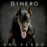 Nuevo desorden mundial - Dinero