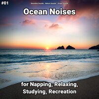 Ocean Noises Part 6 - shoreline sounds & Nature Sounds & Ocean Sounds