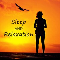 Anti Stress Relief - Calm Sleep Through the Night
