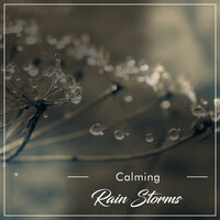 White Noise Rain Shower - Academia de Música con Sonidos de la Naturaleza & Sol y Lluvia, Academia de Música con Sonidos de la Naturaleza, Sonidos De Lluvia y Tormentas & Sol y Lluvia & Sonidos De Lluvia y Tormentas