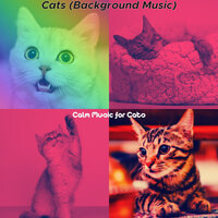 Subtle (Music) - Calm Music for Cats