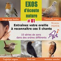 Exos d'écoute vol. 1 - Série H - Chiff-Chaff