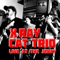 Sir Gawain & The Green Knight - X Ray Cat Trio