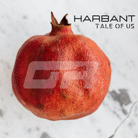 Purity - Harbant