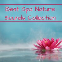 Stop Overthinking - Scents of Spa