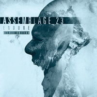 Afterglow - Assemblage 23 & The Rain Within
