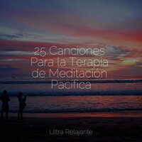 Meditación De Enfoque Profundo - Entrenamiento Autógeno y Meditación Specialistas & Dormir Mucho & Sonidos de la Naturaleza Relajacion