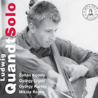 Cello Sonata in B Minor, Op. 8: I. Allegro maestoso ma appassionato - Ludwig Quandt