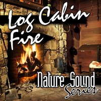 Controlled Brush Fire - Sound FX - Nature Sound Series