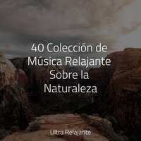 Hierba Soñolienta - Canciones Para Niños & Musica Para Relajarse & Música Zen Relaxante