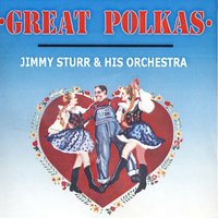 Mini Skirt Polka - Jimmy Sturr And His Orchestra