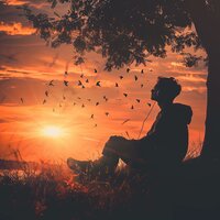 Harmony's Gentle Caress - Pure Relaxation Music & Relaxing Well & Chill Out Time Consort