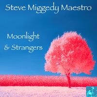 Moonlight & Strangers - Steve Miggedy Maestro & Belizian Voodoo Priest