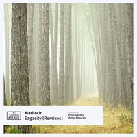 Sagacity - Madloch & Anton Dhouran