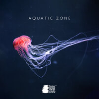Gentle Stream Course - Relax Musica Zen Club