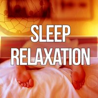 Celtic Meditation - Stages of Sleep Music Universe