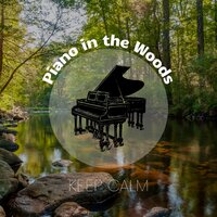 Piano Music, Keep Calm - Sleep Music & Piano Music Spa & Piano in the Woods