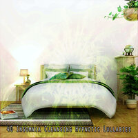 Fairies Forest - Spa Relaxation & Spa