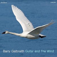 What am I Here for - Barry Galbraith