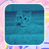 Grand Ambience for Cozy Kittens - Calming Cat Music