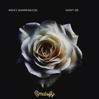 Want Me - Mikey Barreneche