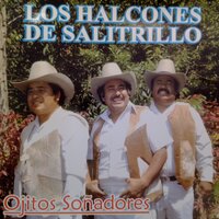 Mi Casa Nueva - Los Halcones De Salitrillo