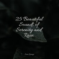 Waves by the Rocks - Naturaleza Sonidos & Rain Spa & Sound of Rain