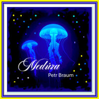 Medvěd Vilém - Petr Braum