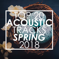 OTW - Guitar Tribute Players