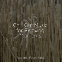 Thy Image - Sleeping Music & Powerthoughts Meditation Club & Musique Zen Garden